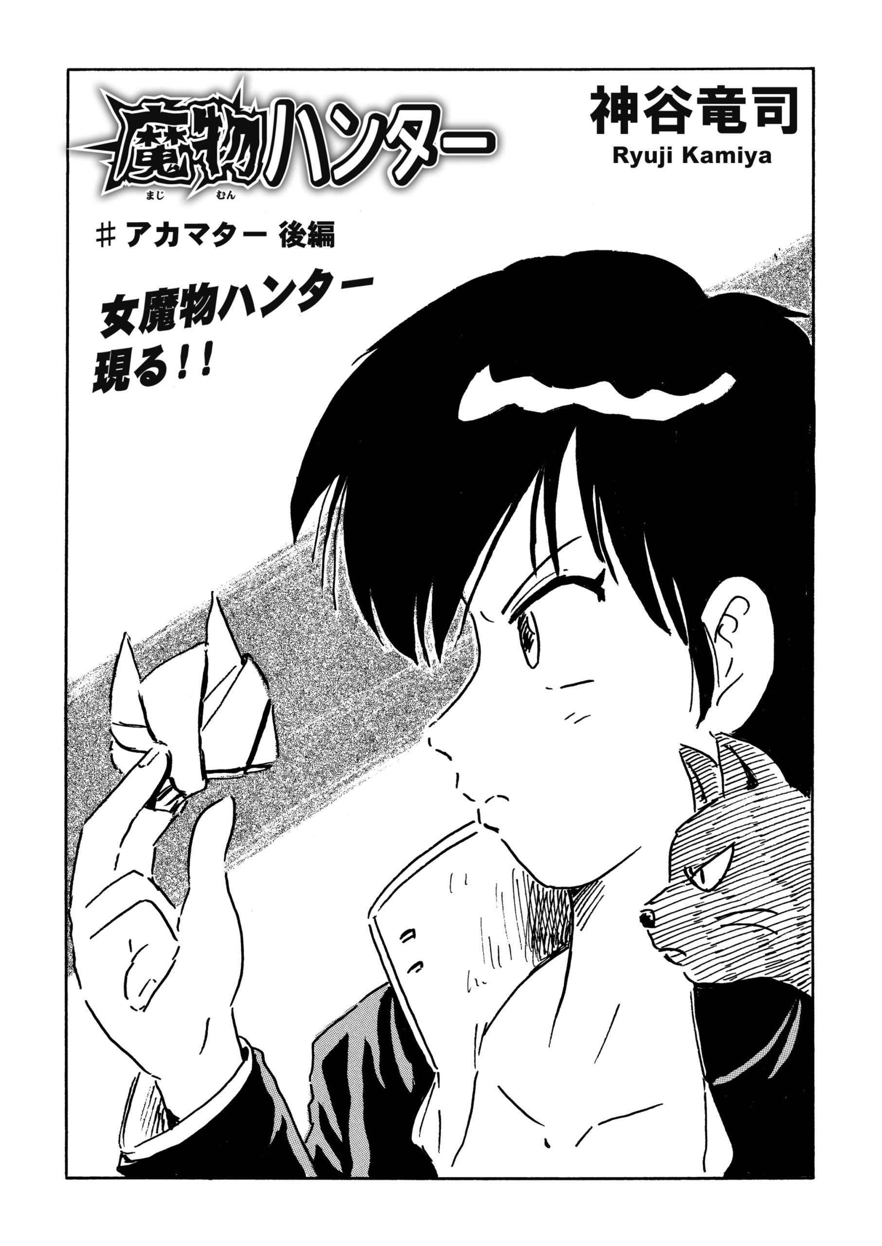 魔物ハンター 4アカマター後編 沖縄マンガ パンフレット コミックチャンプルー