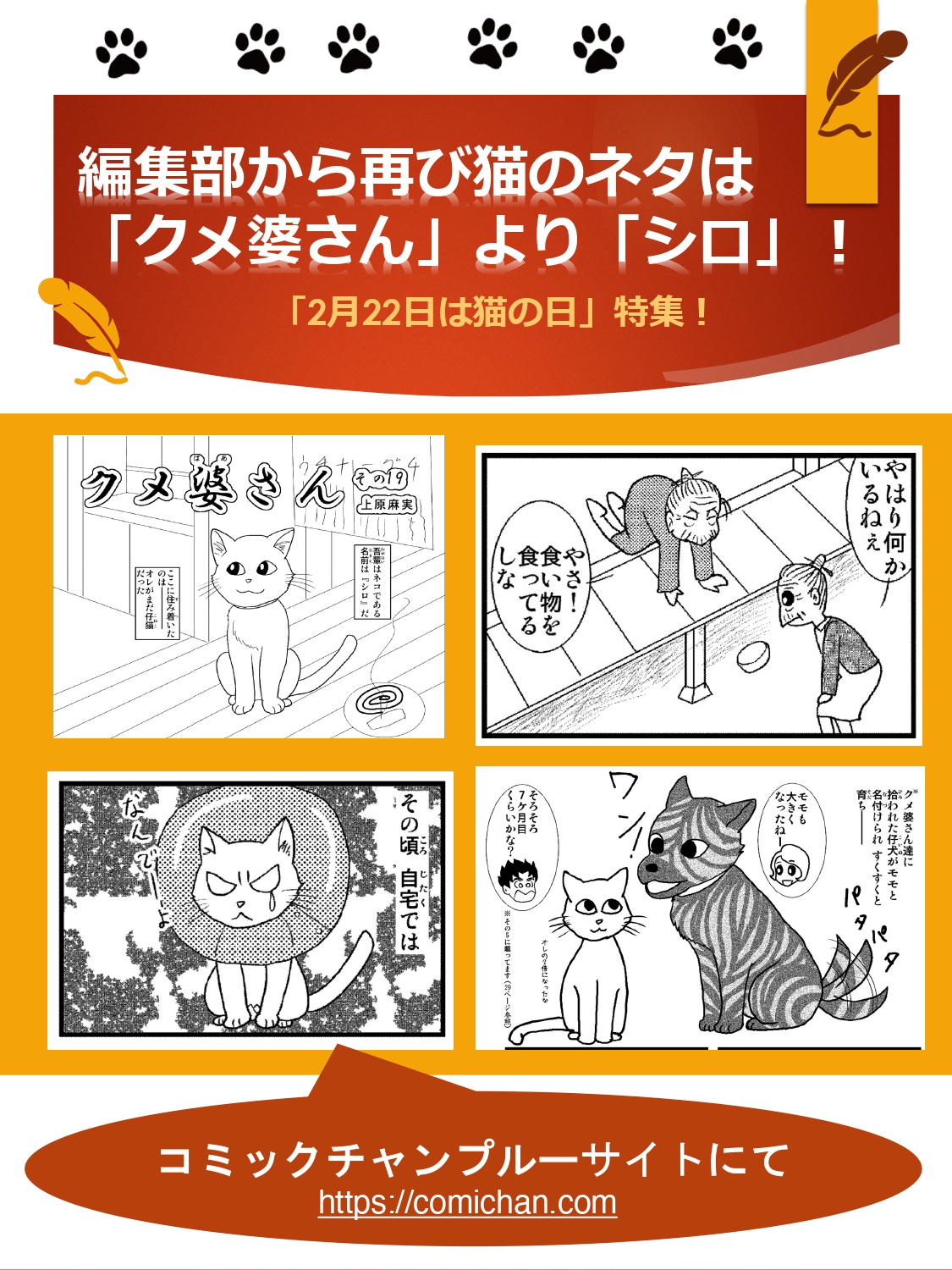 「2月22日は猫の日」特集！　編集部から再び猫のネタは「クメ婆さん」より「シロ」！